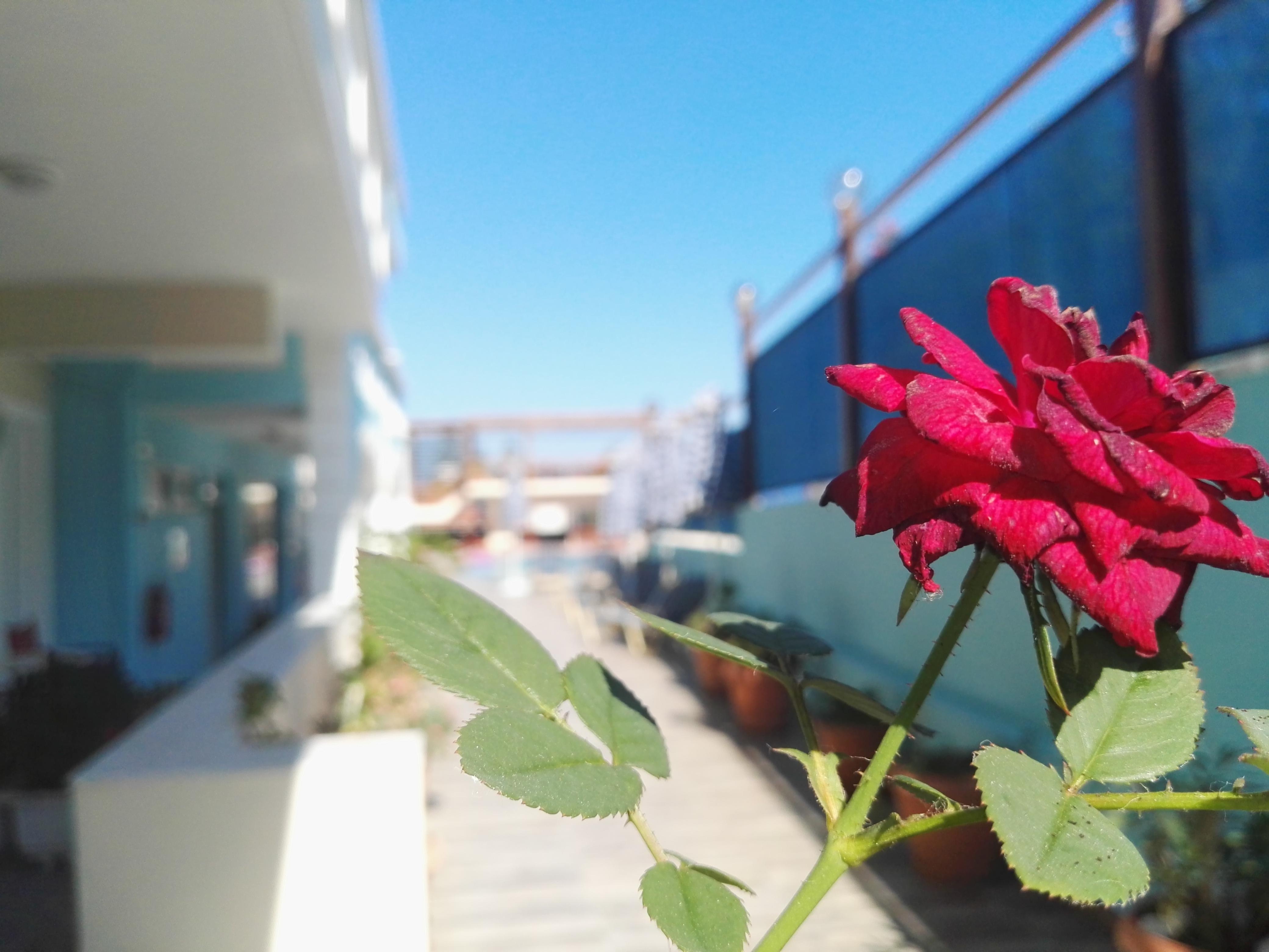 Epis Hotel Agia Marina  Ngoại thất bức ảnh
